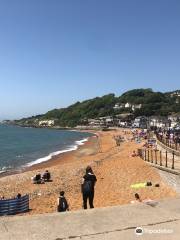 Ventnor Beach