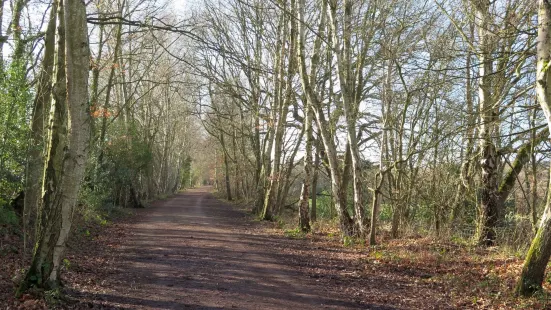 Demesne Mill Picnic Area