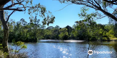 Belair National Park