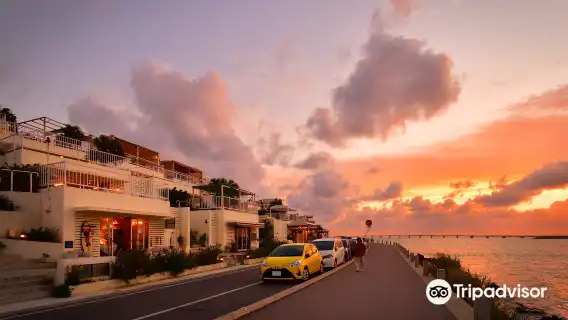 沖繩南部經典景觀一日遊巴士/中文導遊同行/知念岬，瀨長島等