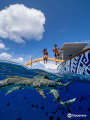 Lagoon Service Bora Bora