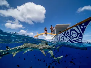 Lagoon Service Bora Bora