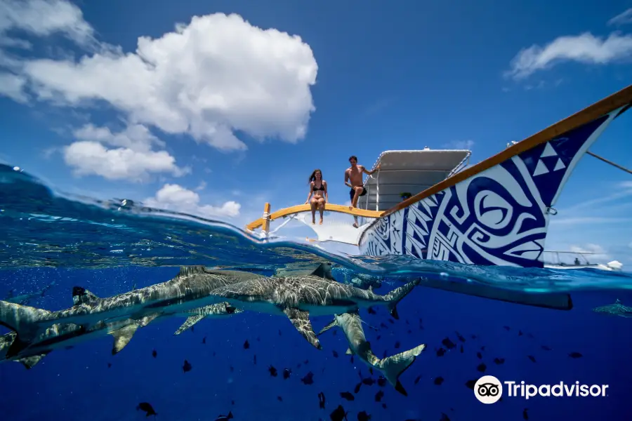 Lagoon Service Bora Bora