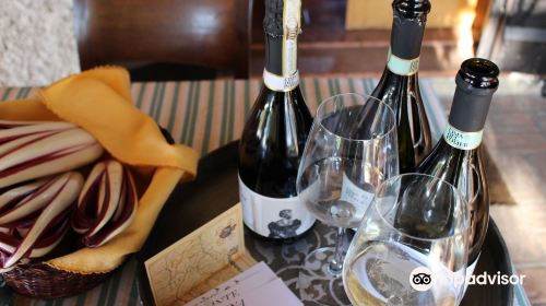 Cima del Pomer Wine Tasting Experience