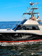 Orange Beach Fishing Charters and Saltwater Guides