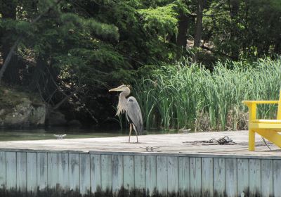 クリング・ポイント州立公園