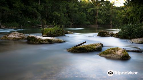 San Marcos River