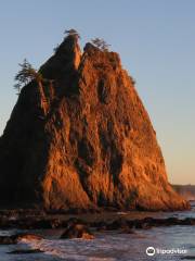 Rialto Beach