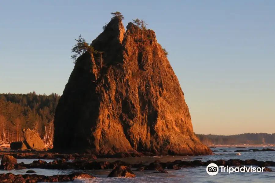 Rialto Beach