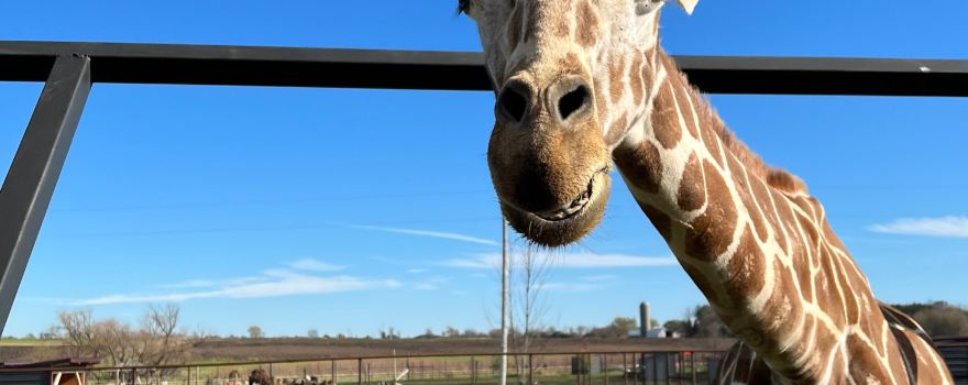 Hemker Park and Zoo