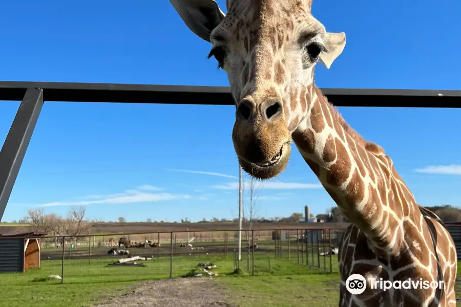 ヘムカー・パーク・アンド動物園