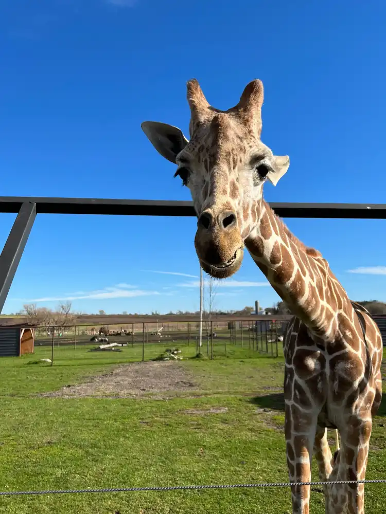 Hôtels à : Millwood Township