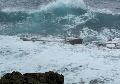 Mapu'a Vaea Blowholes