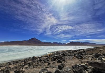 Uyuni White And Green Bolivia