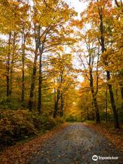 Stowe Mountain Auto Toll Road