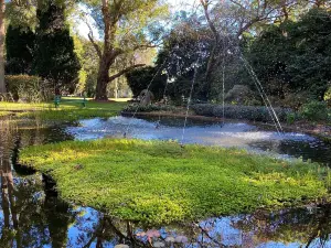 Hunter Region Botanic Gardens