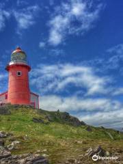 Lighthouse Picnics