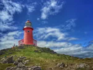 Lighthouse Picnics