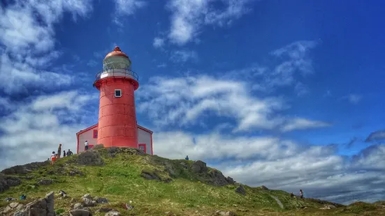 Lighthouse Picnics