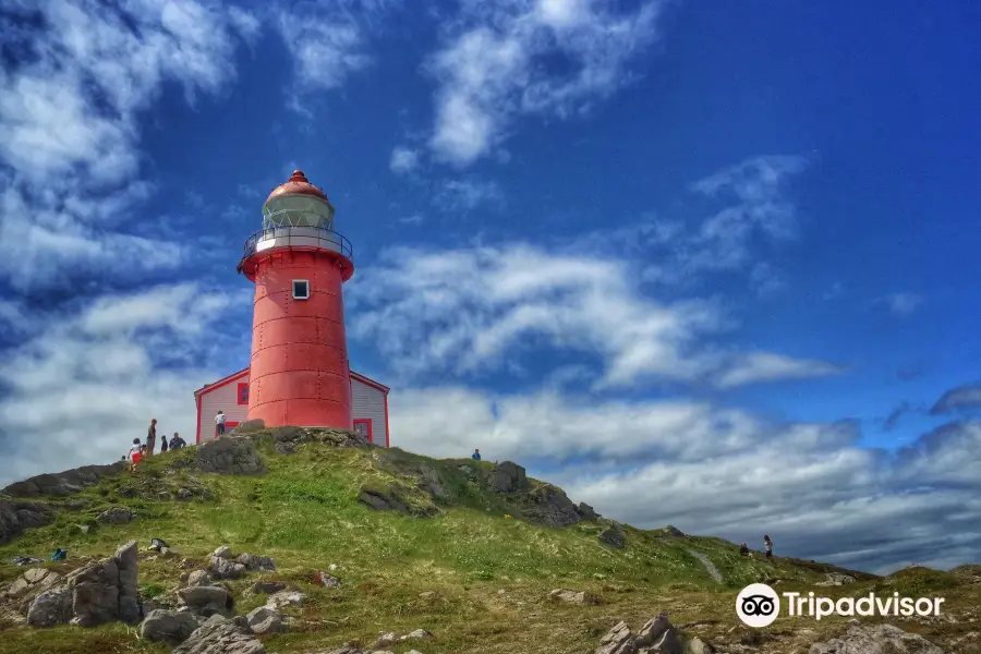 Lighthouse Picnics