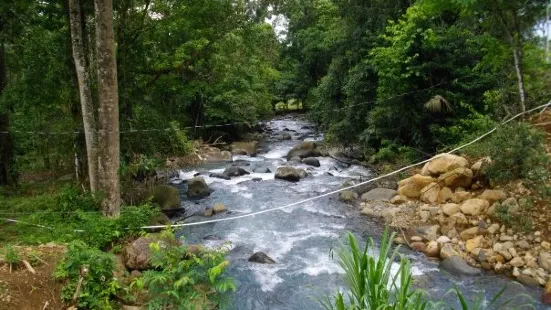 Carara National Park