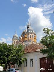 Synagogue of Tg. Mures