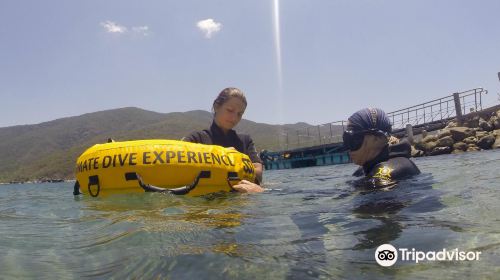 Deep People Freediving School