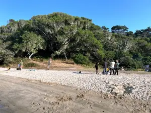 ハーツ・デザイア