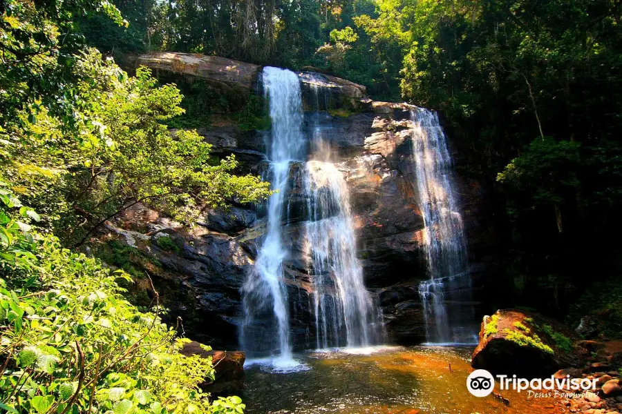 Udzungwa-Mountains-Nationalpark