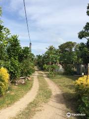 On Wheels Vanuatu