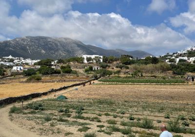 sifnos farm narlis