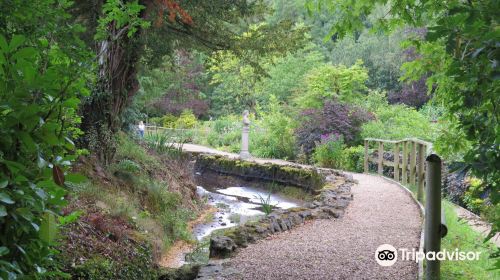 Cascades Gardens - Meditation Garden and Bonsai Centre