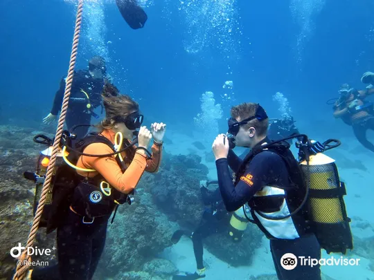 3_Pisces Diving Charter