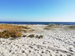 Rewa Beach