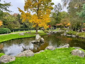 Kyoto Garden
