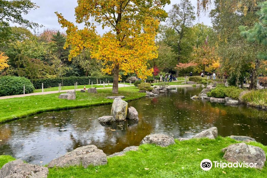 京都庭園