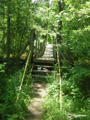 Sanilac Petroglyphs Historic State Park