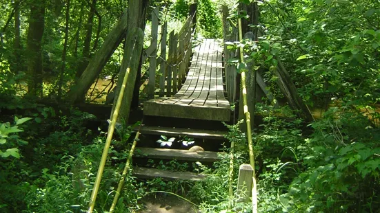 Sanilac Petroglyphs Historic State Park