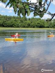 Kayak Excursions