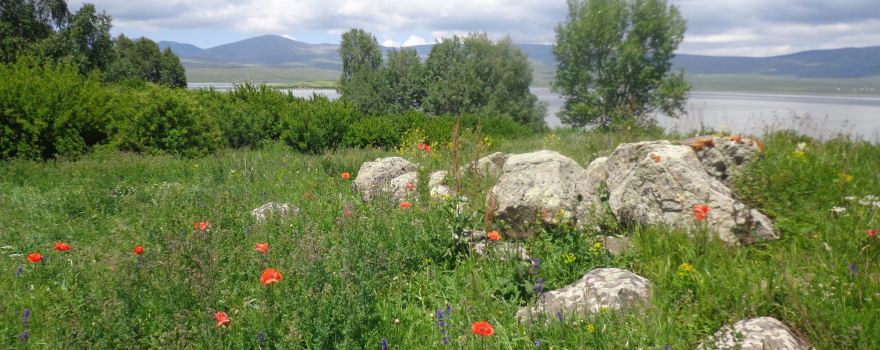 Berdashen