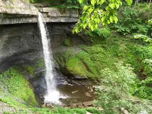 Carpenter Falls