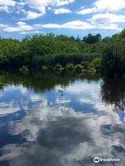 Shu Swamp Nature Preserve