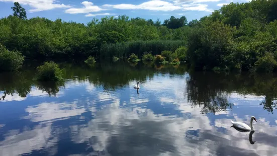 Shu Swamp Nature Preserve