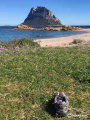 Spiaggia di Punta Don Diego