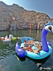 Sheesa Beach Dhow Cruises- Dive & Discover