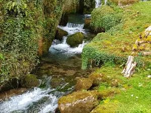 Grottes de Wookey Hole