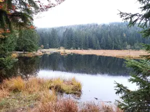 Kleiner Arbersee