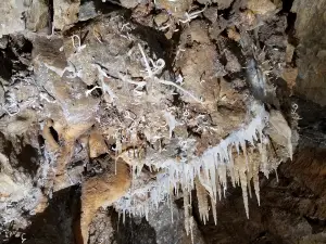 Black Chasm Cavern National Natural Landmark