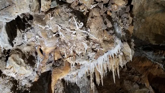 Black Chasm Cavern National Natural Landmark