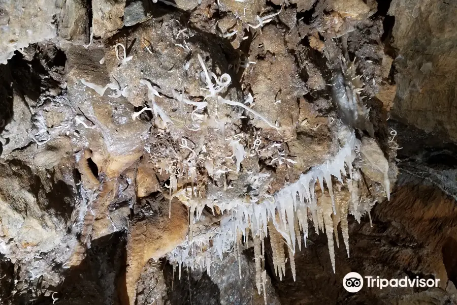 Black Chasm Cavern National Natural Landmark
